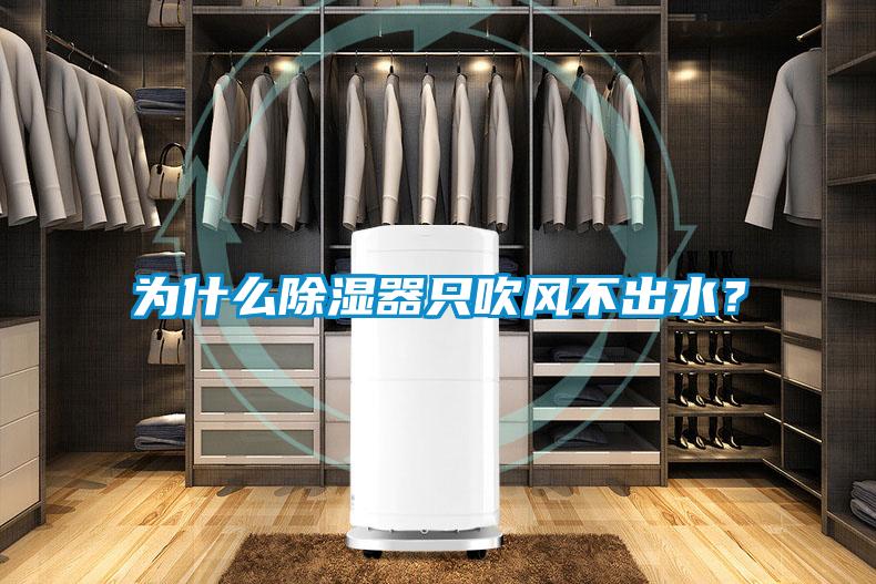 為什么除濕器只吹風不出水？