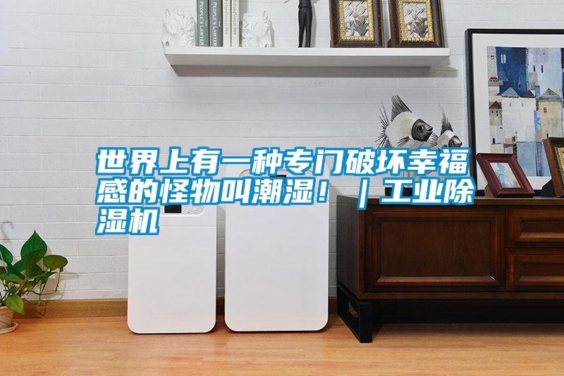 世界上有一種專門破壞幸福感的怪物叫潮濕?。I除濕機
