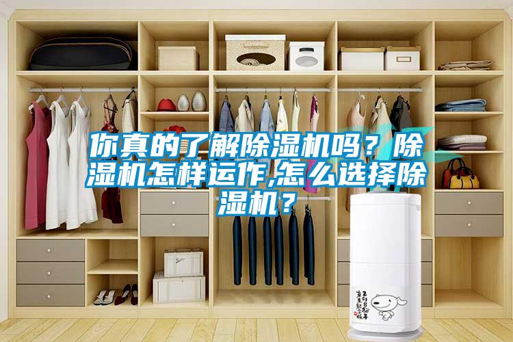 你真的了解除濕機嗎？除濕機怎樣運作,怎么選擇除濕機？