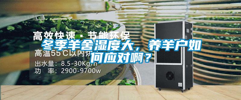冬季羊舍濕度大，養羊戶如何應對?。?></div>
								<div   id=