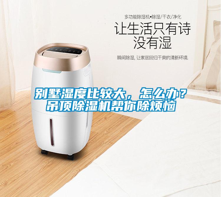 別墅濕度比較大，怎么辦？吊頂除濕機(jī)幫你除煩惱