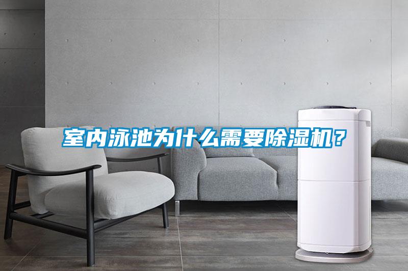 室內泳池為什么需要除濕機？