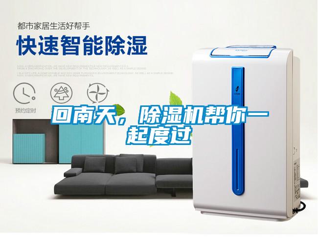 回南天，除濕機幫你一起度過