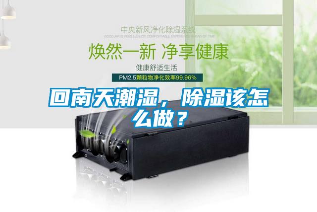 回南天潮濕，除濕該怎么做？