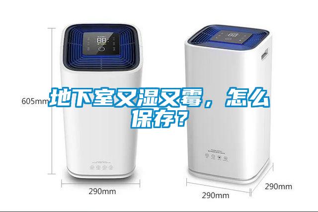 地下室又濕又霉，怎么保存？