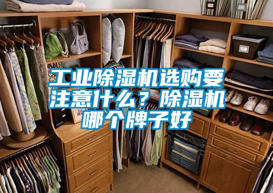 工業(yè)除濕機(jī)選購要注意什么？除濕機(jī)哪個牌子好
