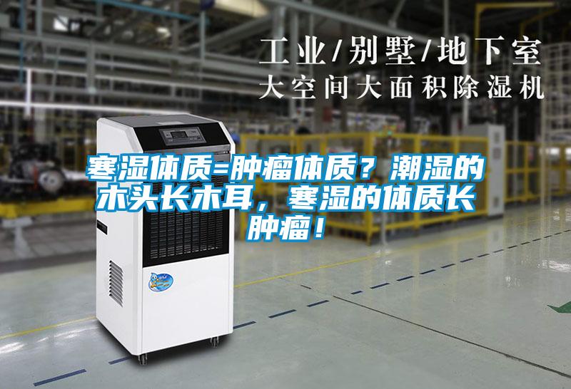 寒濕體質=腫瘤體質？潮濕的木頭長木耳，寒濕的體質長腫瘤！