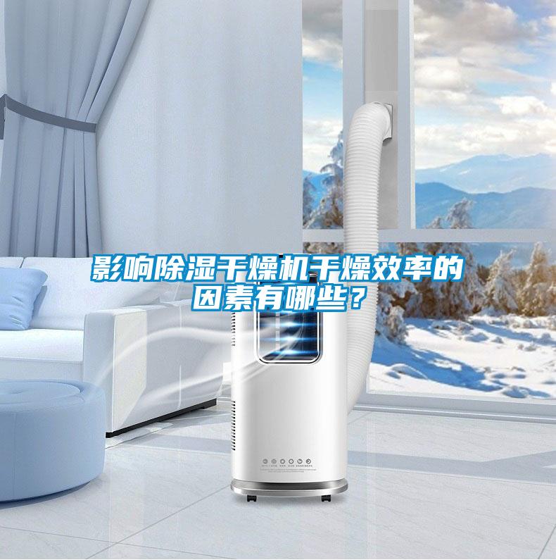 影響除濕干燥機干燥效率的因素有哪些？