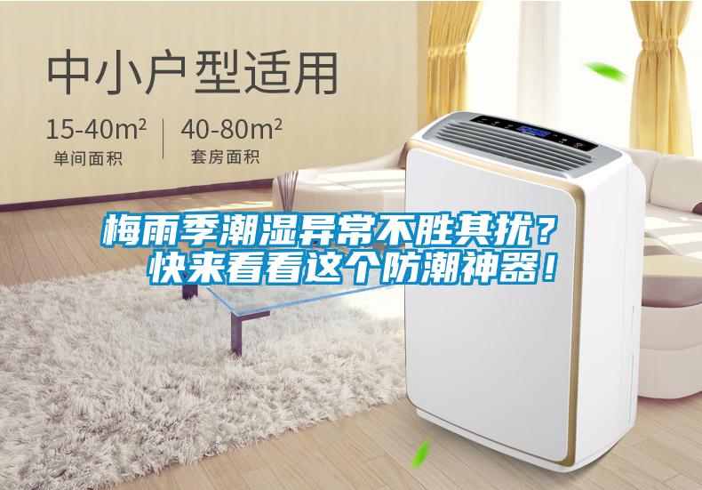 梅雨季潮濕異常不勝其擾？ 快來看看這個防潮神器！