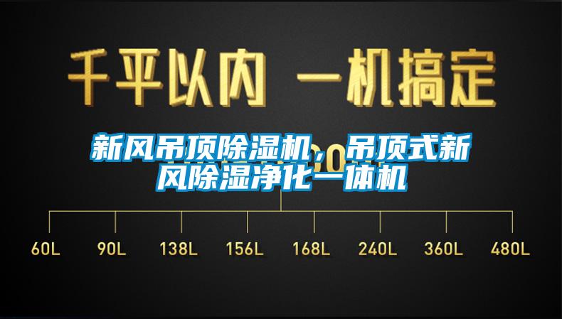 新風吊頂除濕機，吊頂式新風除濕凈化一體機