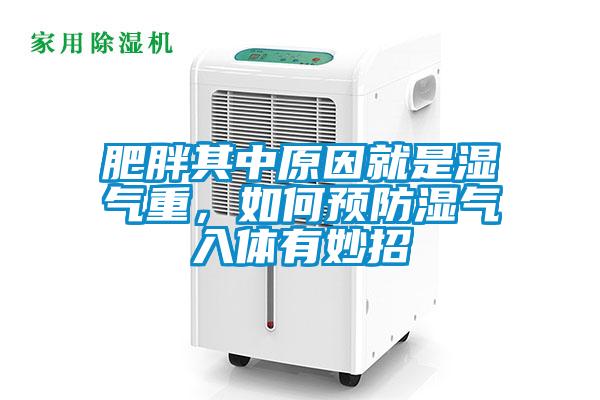 肥胖其中原因就是濕氣重，如何預防濕氣入體有妙招