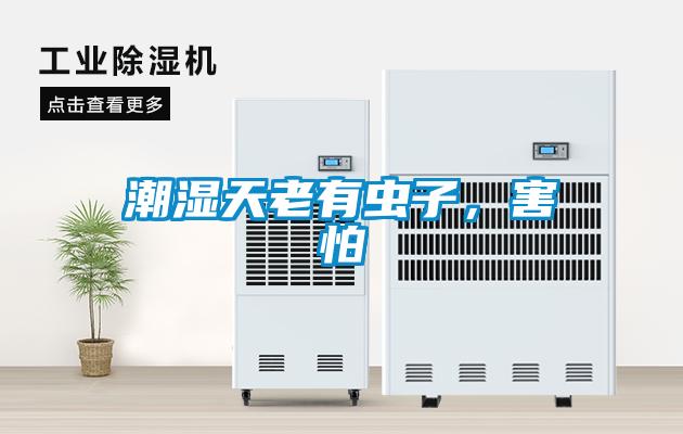 潮濕天老有蟲子，害怕