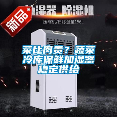 菜比肉貴？蔬菜冷庫保鮮加濕器穩定供給