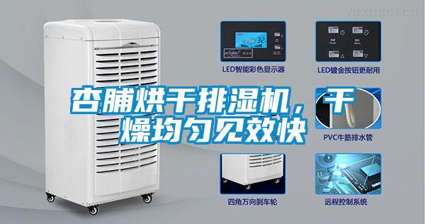 杏脯烘干排濕機，干燥均勻見效快