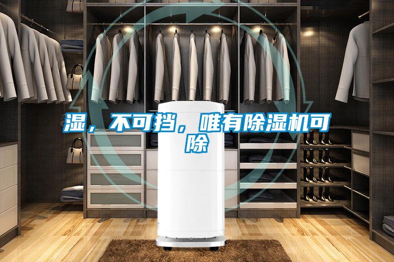 濕，不可擋，唯有除濕機(jī)可除