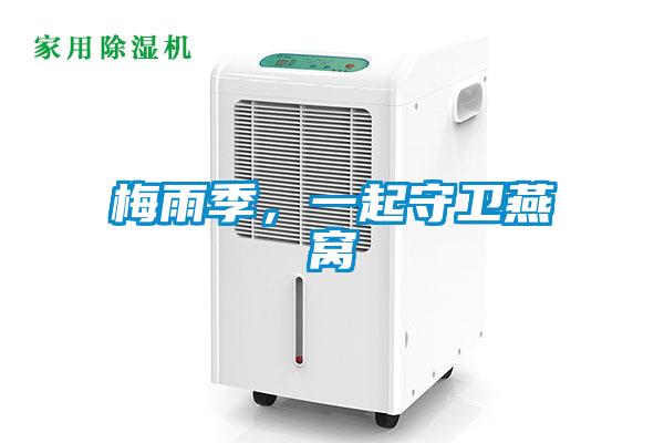 梅雨季，一起守衛燕窩