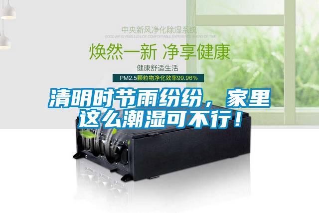 清明時節雨紛紛，家里這么潮濕可不行！