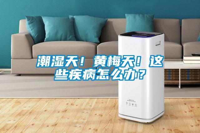 潮濕天！黃梅天！這些疾病怎么辦？