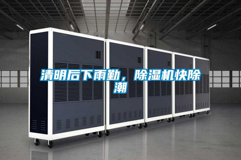 清明后下雨勤，除濕機快除潮