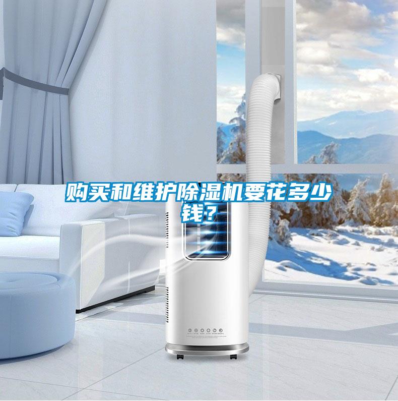 購(gòu)買(mǎi)和維護(hù)除濕機(jī)要花多少錢(qián)？
