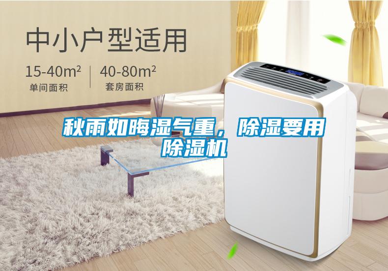秋雨如晦濕氣重，除濕要用除濕機(jī)
