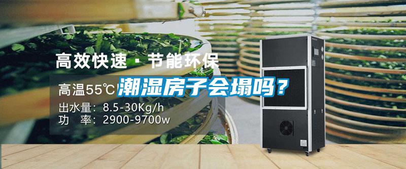 潮濕房子會塌嗎？