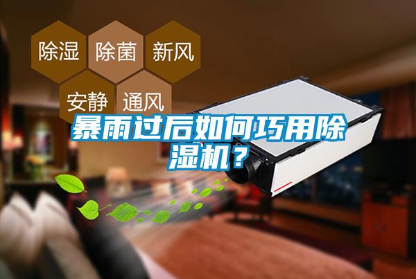 暴雨過后如何巧用除濕機？