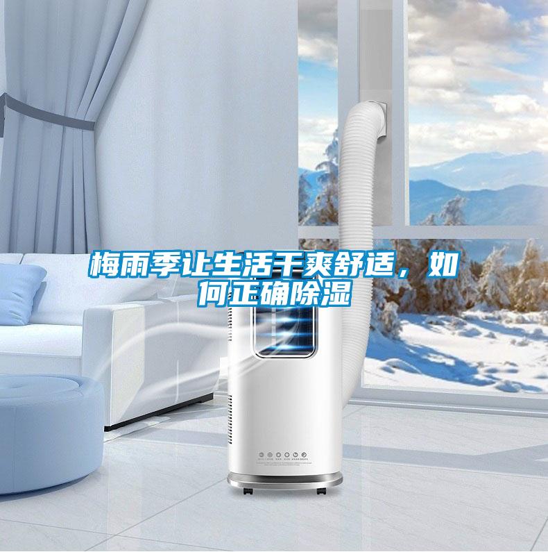 梅雨季讓生活干爽舒適，如何正確除濕