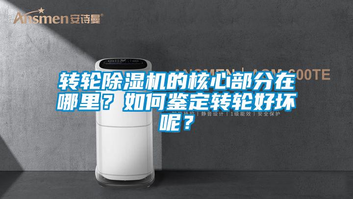 轉輪除濕機的核心部分在哪里？如何鑒定轉輪好壞呢？