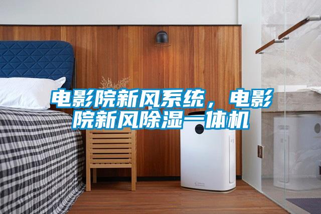 電影院新風(fēng)系統(tǒng)，電影院新風(fēng)除濕一體機
