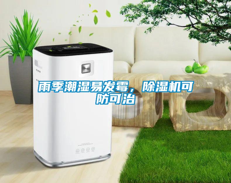 雨季潮濕易發霉，除濕機可防可治