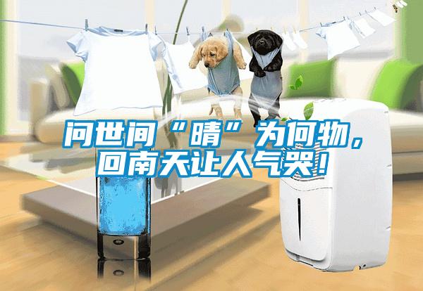 問(wèn)世間“晴”為何物，回南天讓人氣哭！