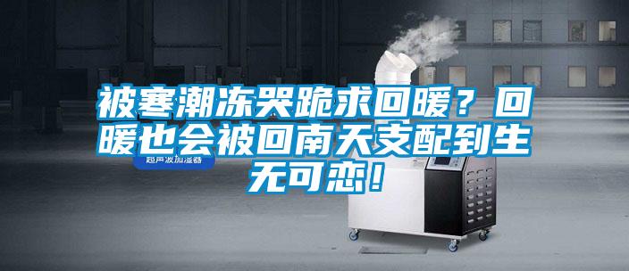 被寒潮凍哭跪求回暖？回暖也會(huì)被回南天支配到生無可戀！