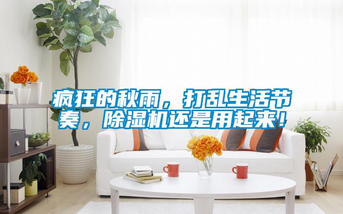 瘋狂的秋雨，打亂生活節奏，除濕機還是用起來！