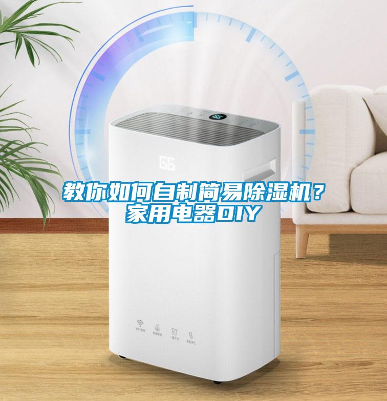 教你如何自制簡易除濕機？家用電器DIY