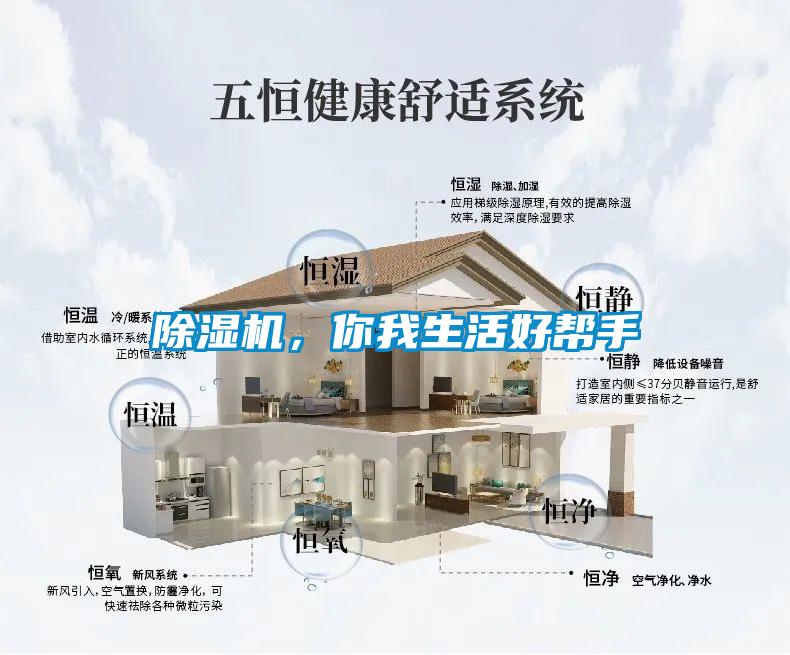 除濕機，你我生活好幫手