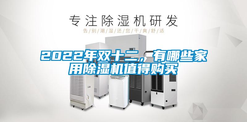 2022年雙十二，有哪些家用除濕機值得購買