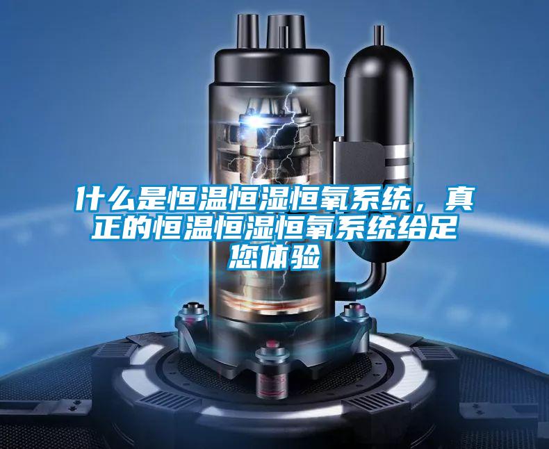 什么是恒溫恒濕恒氧系統(tǒng)，真正的恒溫恒濕恒氧系統(tǒng)給足您體驗(yàn)