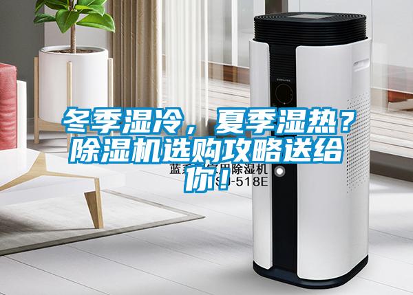 冬季濕冷，夏季濕熱？除濕機選購攻略送給你！