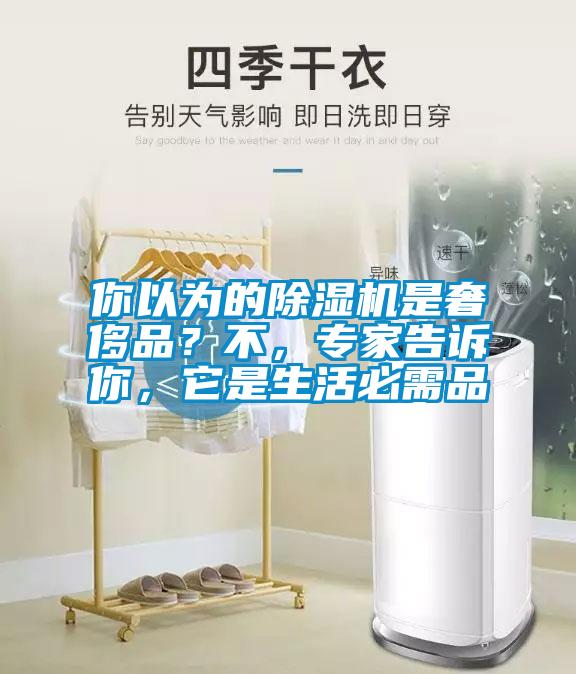 你以為的除濕機(jī)是奢侈品？不，專(zhuān)家告訴你，它是生活必需品