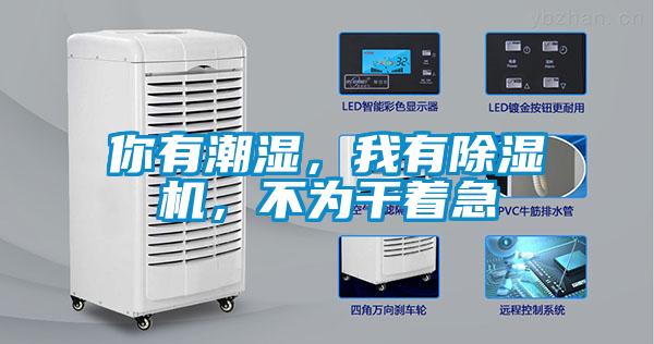 你有潮濕，我有除濕機(jī)，不為干著急