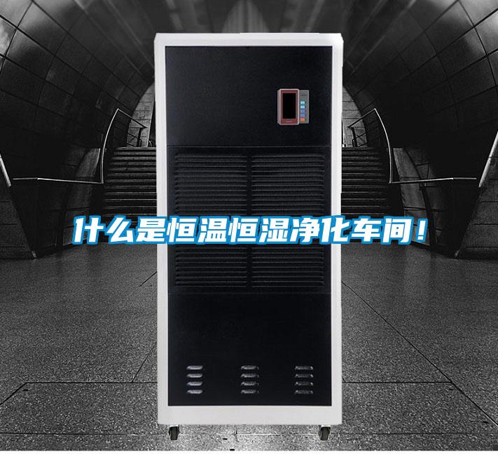 什么是恒溫恒濕凈化車間！