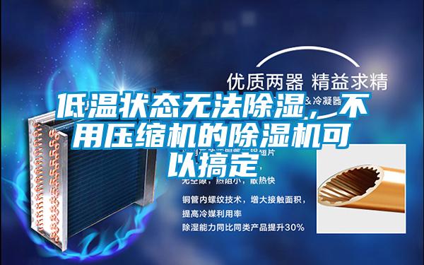 低溫狀態無法除濕，不用壓縮機的除濕機可以搞定