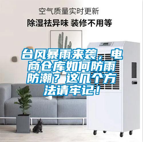臺風暴雨來襲，電商倉庫如何防雨防潮？這幾個方法請牢記！