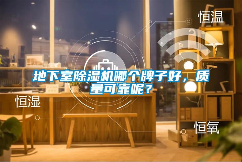 地下室除濕機(jī)哪個牌子好，質(zhì)量可靠呢？