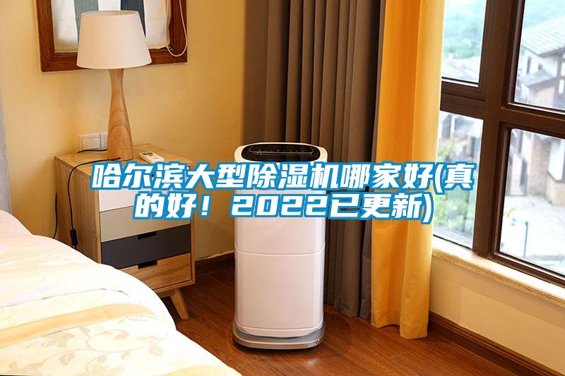 哈爾濱大型除濕機哪家好(真的好！2022已更新)