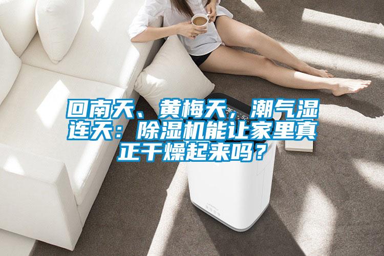 回南天、黃梅天，潮氣濕連天：除濕機能讓家里真正干燥起來嗎？