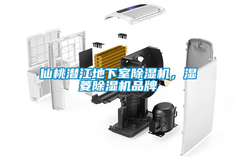仙桃潛江地下室除濕機(jī)，濕菱除濕機(jī)品牌