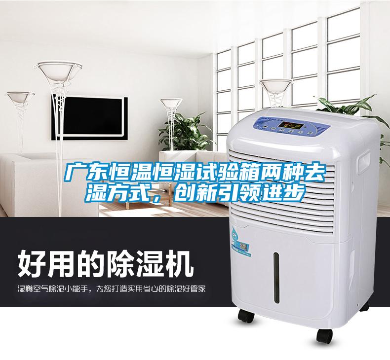 廣東恒溫恒濕試驗箱兩種去濕方式，創新引領進步