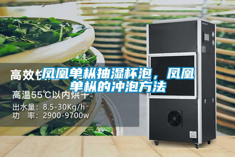 鳳凰單樅抽濕杯泡，鳳凰單樅的沖泡方法